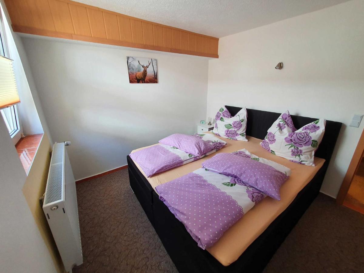 Haus Sonja Apartman Tanne Kültér fotó